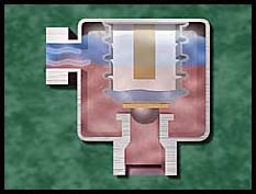 Bellows Steam Trap